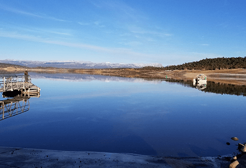 Heron lake