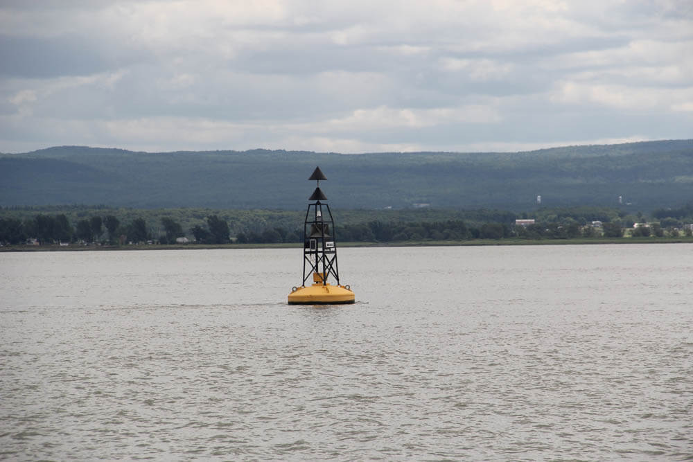 Cardinal Buoys