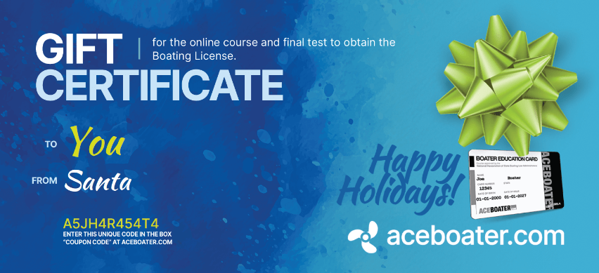 Gift certificate for Christmas
