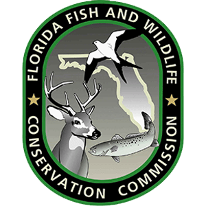 Reckless Operation while boating in Florida